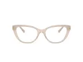 Jimmy Choo Naočale 3011 5025