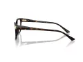 Jimmy Choo Naočale 3012 5002