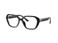 Jimmy Choo Naočale 3013U 5000