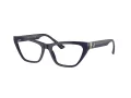 Jimmy Choo Naočale 3014 5023