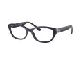 Jimmy Choo Naočale 3015 5023