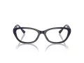 Jimmy Choo Naočale 3015 5023