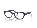 Jimmy Choo Naočale 3015 5023