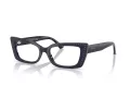 Jimmy Choo Naočale 3018B 5016