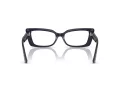 Jimmy Choo Naočale 3018B 5016