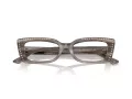 Jimmy Choo Naočale 3018B 5056