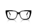 Jimmy Choo Naočale 3019B 5000