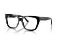 Jimmy Choo Naočale 3019B 5000