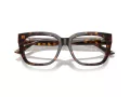 Jimmy Choo Naočale 3019B 5002