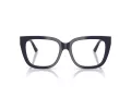Jimmy Choo Naočale 3019B 5016