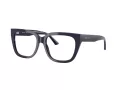 Jimmy Choo Naočale 3019B 5016