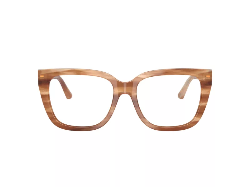 Jimmy Choo Naočale 3019B 5055