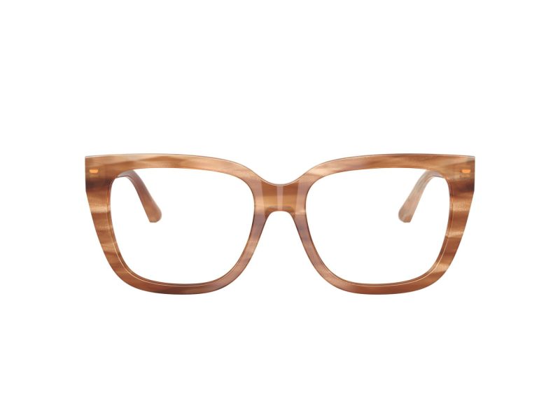 Jimmy Choo Naočale JC 3019B 5055