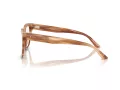 Jimmy Choo Naočale 3019B 5055