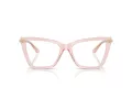 Jimmy Choo Naočale 3020B 5034