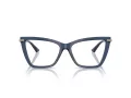 Jimmy Choo Naočale 3020B 5035