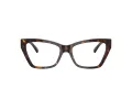 Jimmy Choo Naočale 3021H 5002