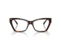 Jimmy Choo Naočale 3021H 5002