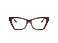 Jimmy Choo Naočale JC 3021H 5057