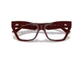 Jimmy Choo Naočale JC 3021H 5057