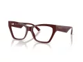 Jimmy Choo Naočale JC 3021H 5057