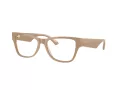 Jimmy Choo Naočale JC 3022H 5058