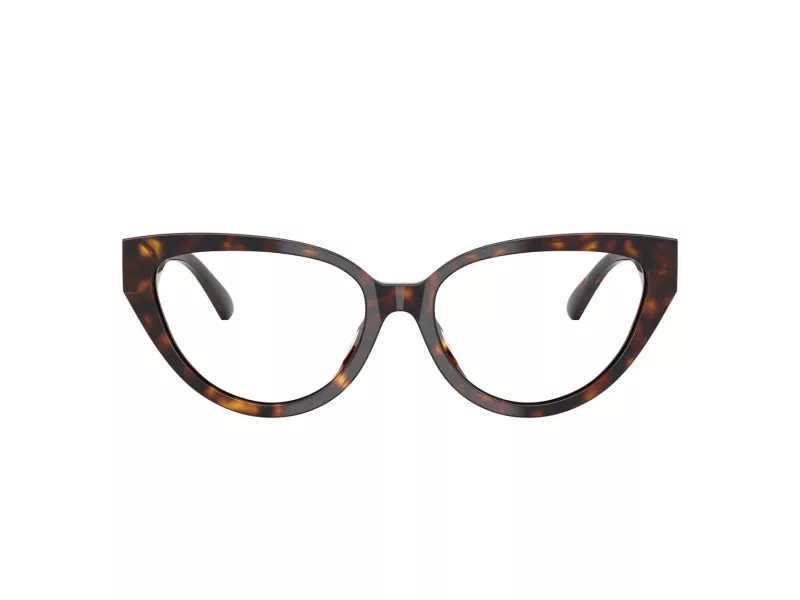 Jimmy Choo Naočale JC 3023HU 5002
