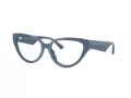 Jimmy Choo Naočale 3023HU 5020