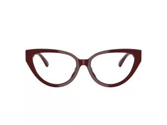 Jimmy Choo Naočale 3023HU 5057