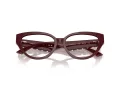 Jimmy Choo Naočale 3023HU 5057