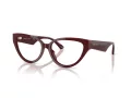 Jimmy Choo Naočale 3023HU 5057