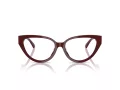 Jimmy Choo Naočale 3023HU 5057