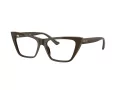 Jimmy Choo Naočale 3025 5060