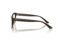 Jimmy Choo Naočale 3025 5060
