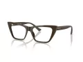 Jimmy Choo Naočale 3025 5060