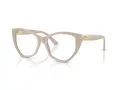 Jimmy Choo Naočale 3026 5033