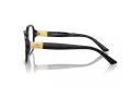 Jimmy Choo Naočale 3027 5000