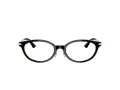 Jimmy Choo Naočale 3029D 5000