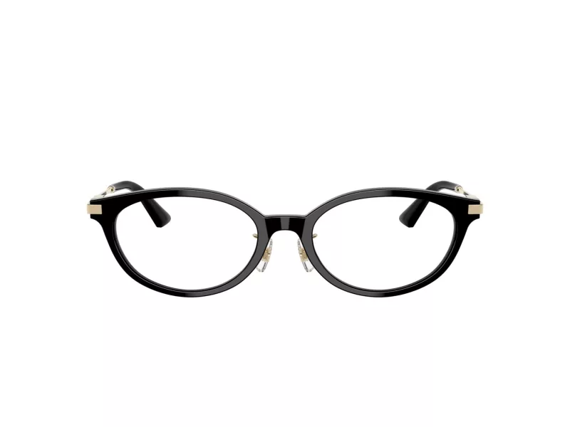 Jimmy Choo Naočale 3029D 5000
