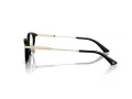 Jimmy Choo Naočale 3029D 5000