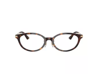 Jimmy Choo Naočale 3029D 5002