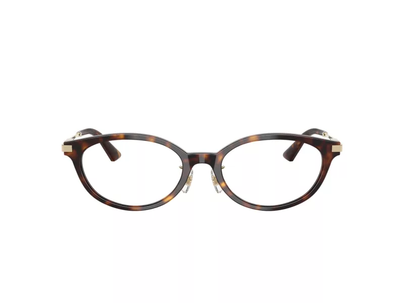 Jimmy Choo Naočale 3029D 5002