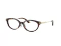 Jimmy Choo Naočale 3029D 5002