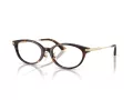Jimmy Choo Naočale 3029D 5002