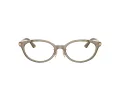 Jimmy Choo Naočale 3029D 5051