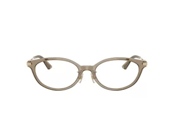Jimmy Choo Naočale 3029D 5051