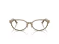 Jimmy Choo Naočale 3029D 5051