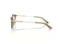 Jimmy Choo Naočale 3029D 5051