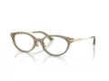 Jimmy Choo Naočale 3029D 5051