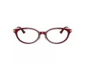 Jimmy Choo Naočale 3029D 5062